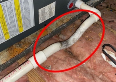 Moldy condensation drain